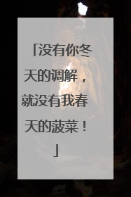 没有你冬天的调解，就没有我春天的菠菜！
