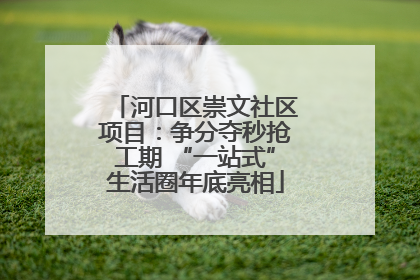 河口区崇文社区项目：争分夺秒抢工期 “一站式”生活圈年底亮相