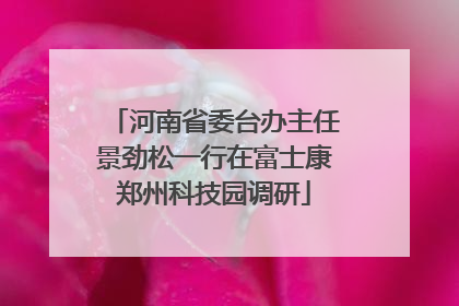 河南省委台办主任景劲松一行在富士康郑州科技园调研