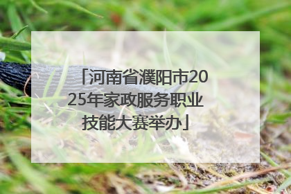 河南省濮阳市2025年家政服务职业技能大赛举办