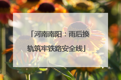 河南南阳：雨后换轨筑牢铁路安全线