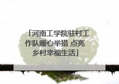 河南工学院驻村工作队暖心举措 点亮乡村幸福生活