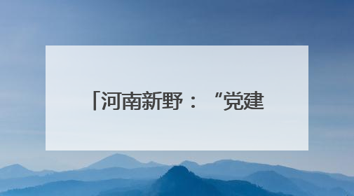 河南新野：“党建+支客+理事”引领文明乡风新风尚