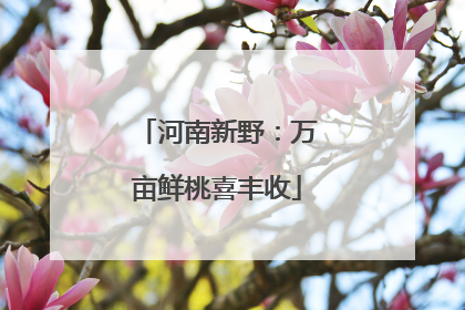 河南新野：万亩鲜桃喜丰收