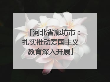 河北省廊坊市：扎实推动爱国主义教育深入开展