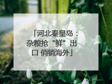 河北秦皇岛：杂粮抢“鲜”出口 俏销海外