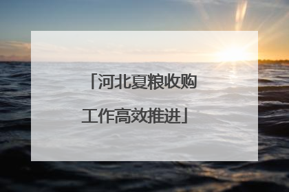 河北夏粮收购工作高效推进