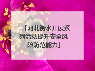 河北衡水开展系列活动提升安全风险防范能力