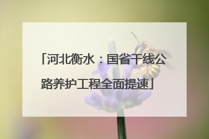 河北衡水：国省干线公路养护工程全面提速