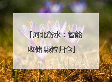 河北衡水：智能收储 颗粒归仓