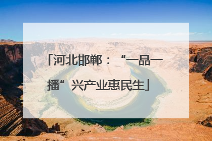 河北邯郸：“一品一播”兴产业惠民生