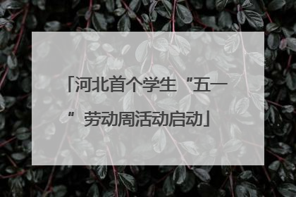 河北首个学生“五一”劳动周活动启动