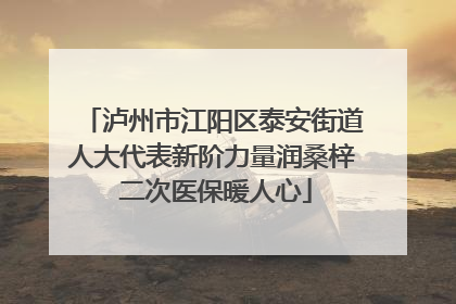 泸州市江阳区泰安街道人大代表新阶力量润桑梓 二次医保暖人心