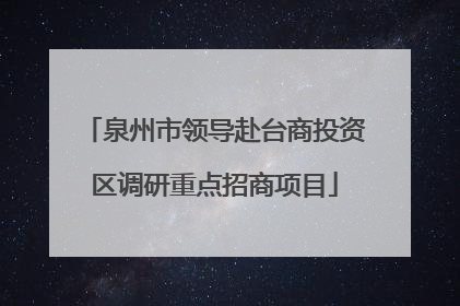 泉州市领导赴台商投资区调研重点招商项目