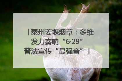 泰州姜堰烟草：多维发力奏响“6·29”普法宣传“最强音”