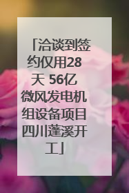 洽谈到签约仅用28天 56亿微风发电机组设备项目四川蓬溪开工