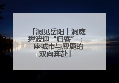 洞见岳阳丨洞庭碧波迎“归客”：一座城市与麋鹿的双向奔赴