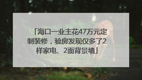 海口一业主花47万元定制装修，验房发现仅多了2样家电、2面背景墙