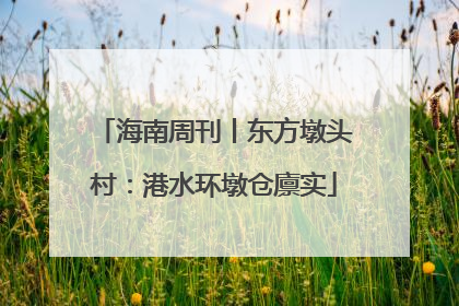 海南周刊丨东方墩头村：港水环墩仓廪实