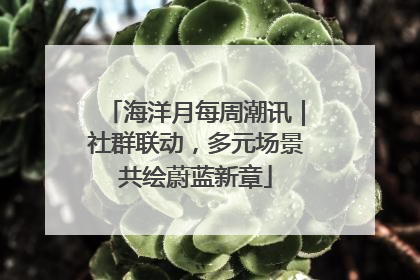 海洋月每周潮讯｜社群联动，多元场景共绘蔚蓝新章