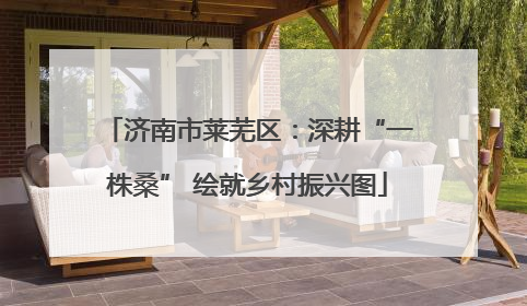 济南市莱芜区：深耕“一株桑” 绘就乡村振兴图