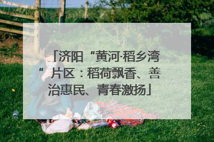 济阳“黄河·稻乡湾”片区：稻荷飘香、善治惠民、青春激扬