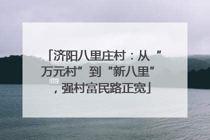 济阳八里庄村：从“万元村”到“新八里”，强村富民路正宽