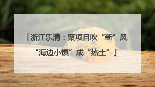 浙江乐清：聚项目吹“新”风 “海边小镇”成“热土”