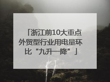浙江前10大重点外贸型行业用电量环比“九升一降”