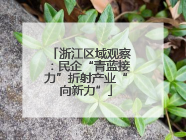 浙江区域观察：民企“青蓝接力”折射产业“向新力”