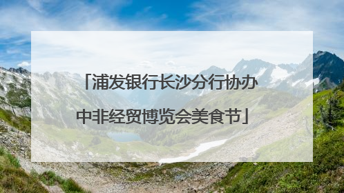 浦发银行长沙分行协办中非经贸博览会美食节