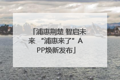 浦惠荆楚 智启未来 “浦惠来了”APP焕新发布