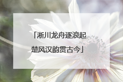 淅川龙舟逐浪起 楚风汉韵贯古今