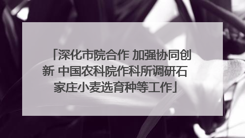 深化市院合作 加强协同创新 中国农科院作科所调研石家庄小麦选育种等工作