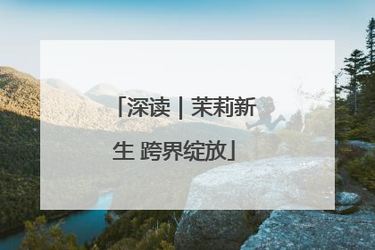 深读｜茉莉新生 跨界绽放