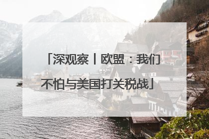 深观察丨欧盟：我们不怕与美国打关税战