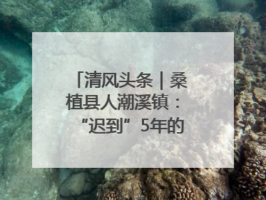 清风头条｜桑植县人潮溪镇：“迟到”5年的生态林补偿金