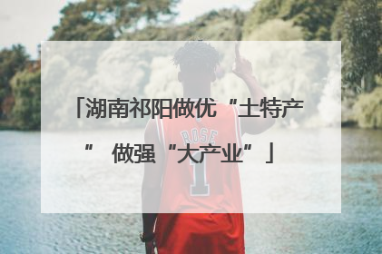 湖南祁阳做优“土特产” 做强“大产业”