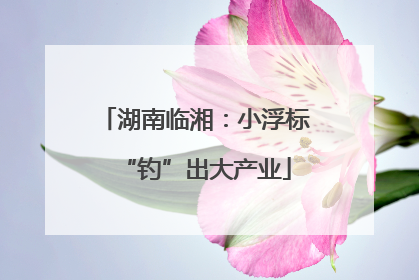 湖南临湘：小浮标“钓”出大产业