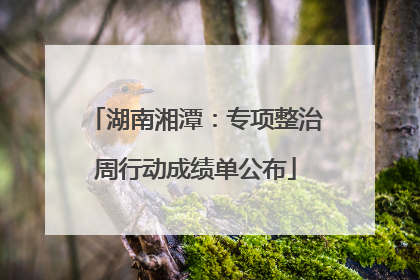 湖南湘潭：专项整治周行动成绩单公布