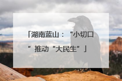 湖南蓝山：“小切口”推动“大民生”