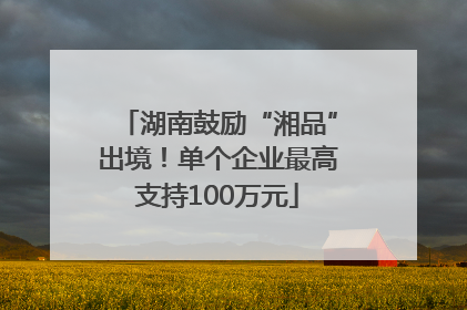 湖南鼓励“湘品”出境！单个企业最高支持100万元