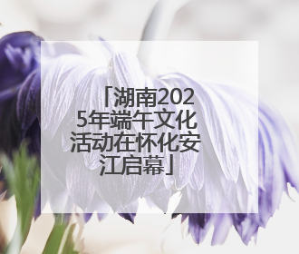 湖南2025年端午文化活动在怀化安江启幕
