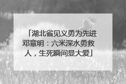 湖北省见义勇为先进邓章明：六米深水勇救人，生死瞬间显大爱