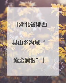 湖北省郧西县山乡沟域“流金淌银”