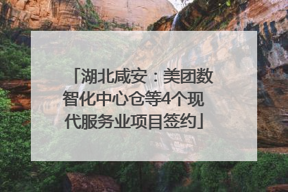 湖北咸安：美团数智化中心仓等4个现代服务业项目签约