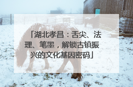 湖北孝昌：舌尖、法理、笔墨，解锁古镇振兴的文化基因密码