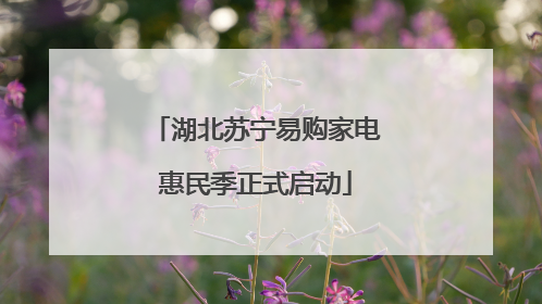 湖北苏宁易购家电惠民季正式启动