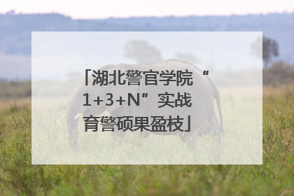 湖北警官学院“1+3+N”实战育警硕果盈枝