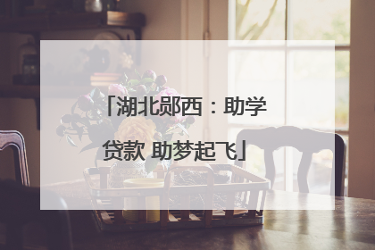 湖北郧西：助学贷款 助梦起飞